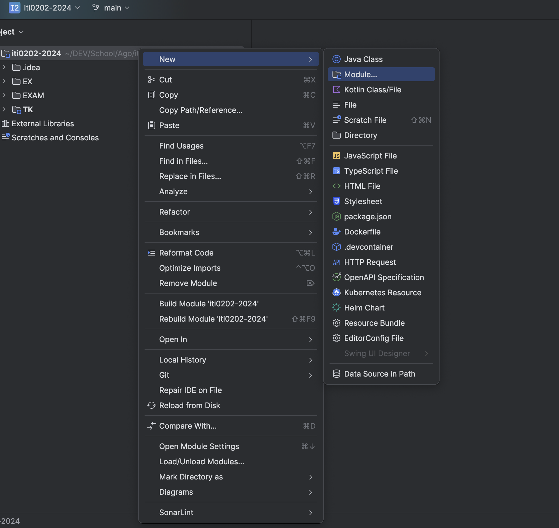 New module inside cloned project